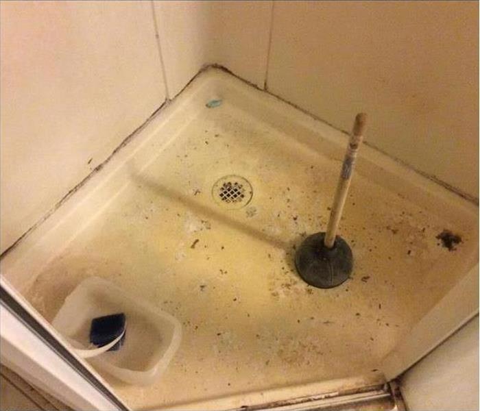 Mold in a shower