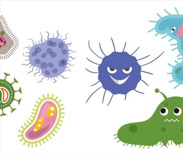 Cartoon photo of mold and germs